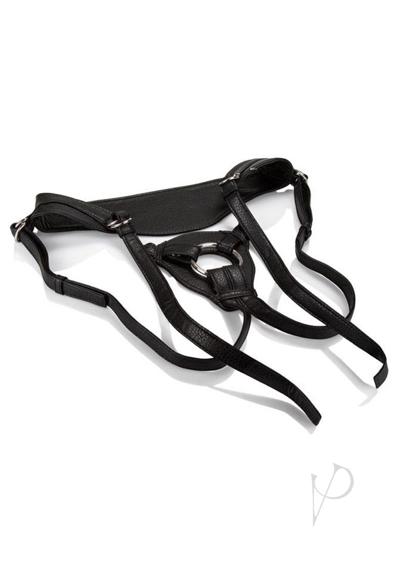 Her Royal Harness The Queen Boxed