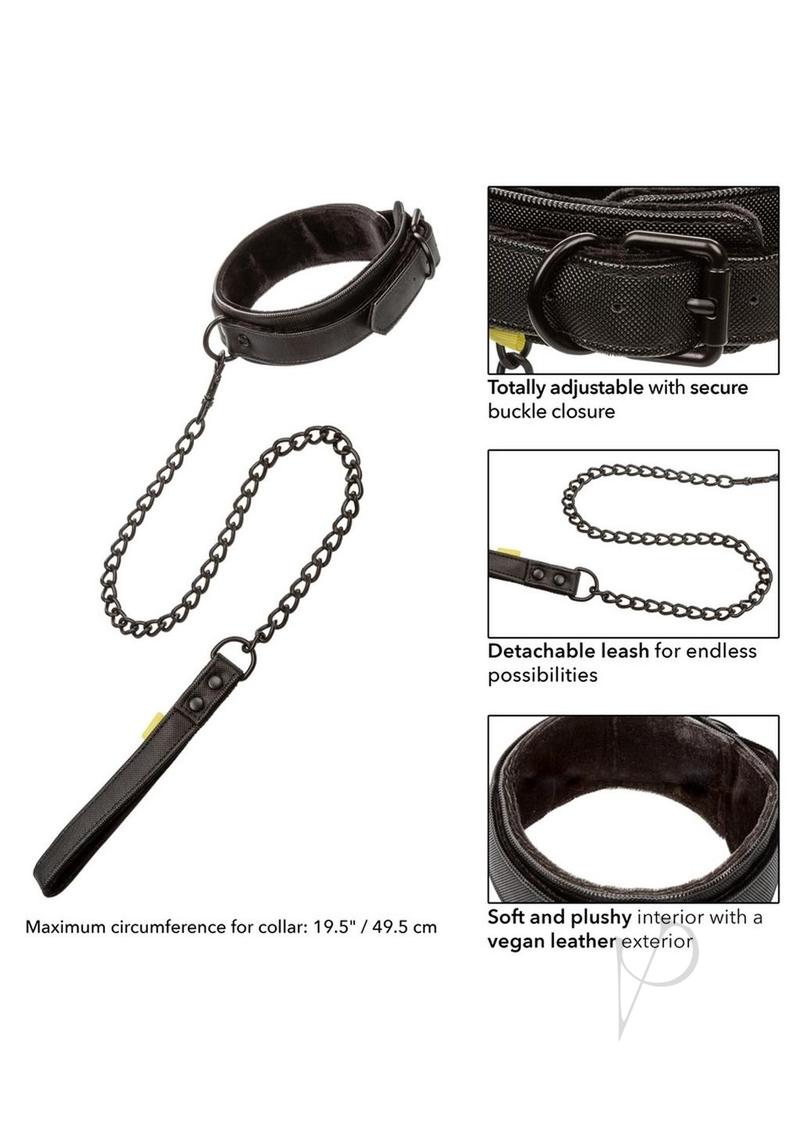 Boundless Collar and Leash Black