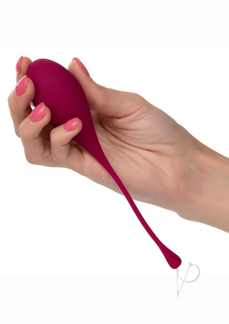 Kegel Training 5pc Set Assorted
