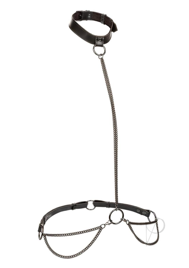 Euphoria Coll Chain Halter Col Leash